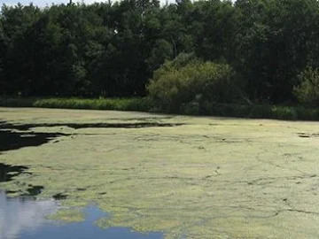 microlife-su-toprak-biyoremediasyon