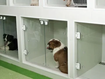 neutroair-hayvan-barinaklari